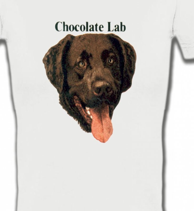 Tête de Labrador chocolat (W)