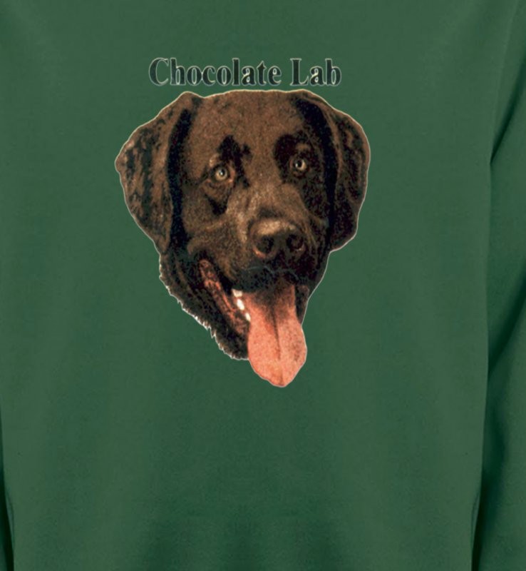 Tête de Labrador chocolat (W)