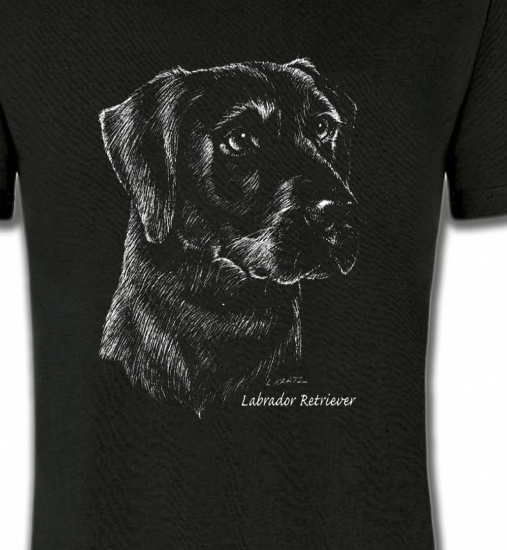 Labrador noir  (X)
