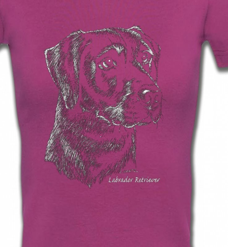 Labrador noir  (X)