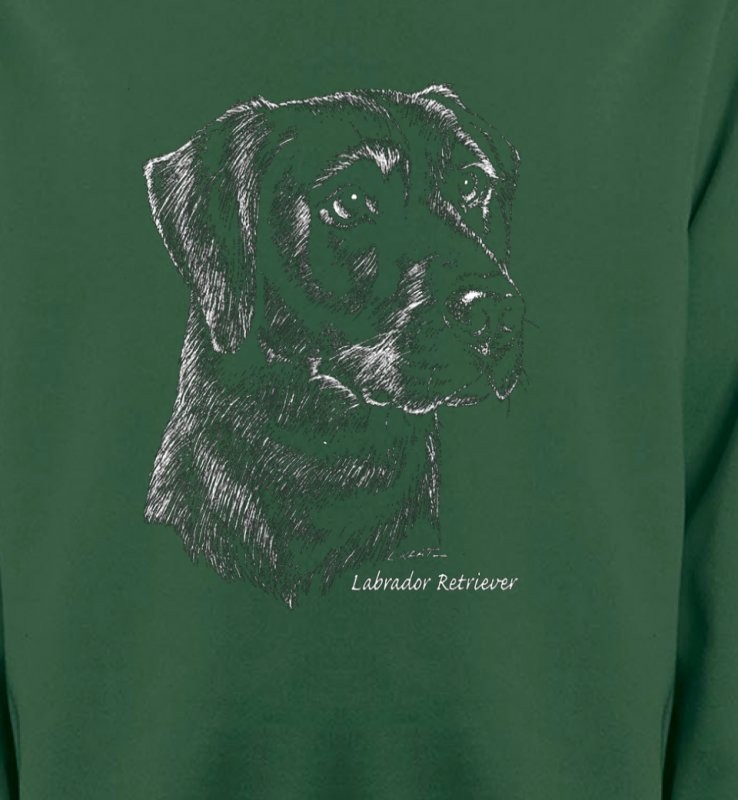 Labrador noir  (X)