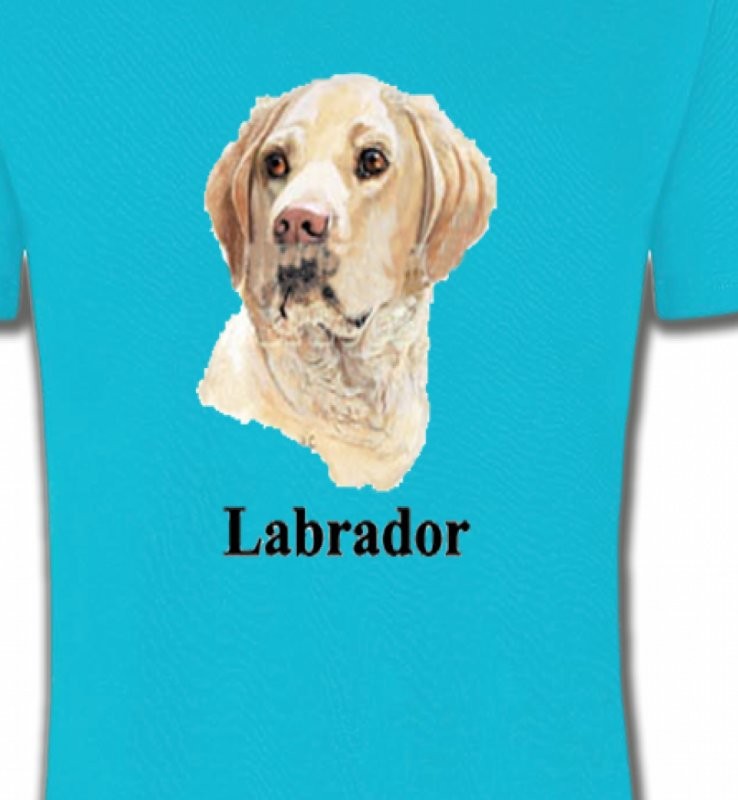Tête de Labrador sable  (S)