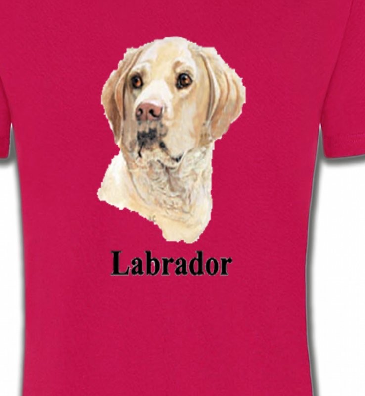 Tête de Labrador sable  (S)
