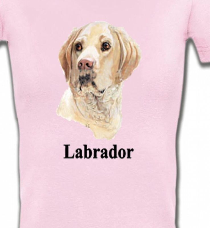 Tête de Labrador sable  (S)
