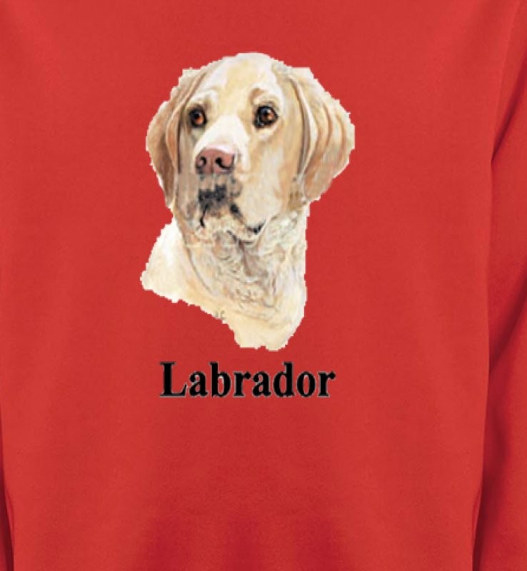 Tête de Labrador sable  (S)
