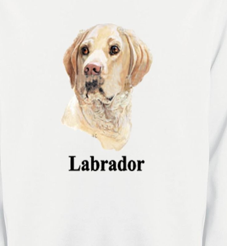Tête de Labrador sable  (S)