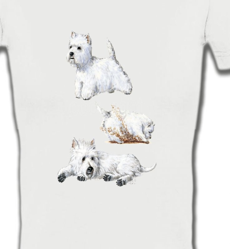 Westie (H)