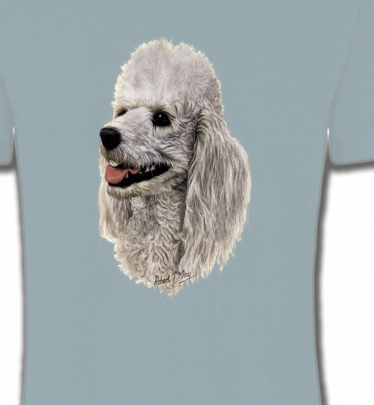 Tête de Caniche (D)