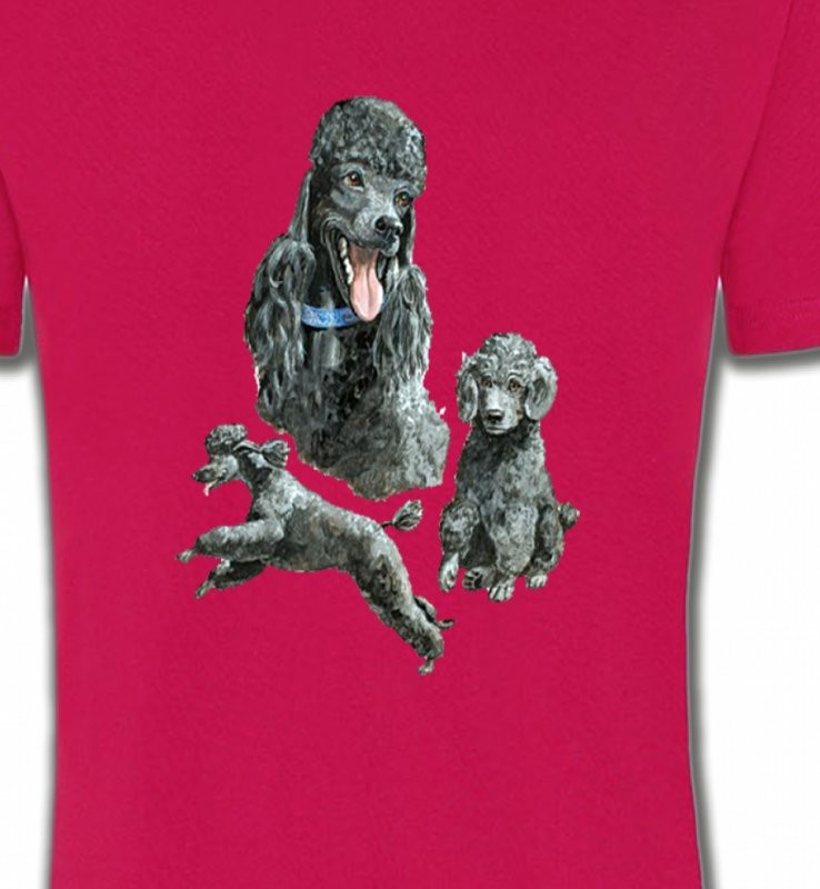 Caniche gris (L)