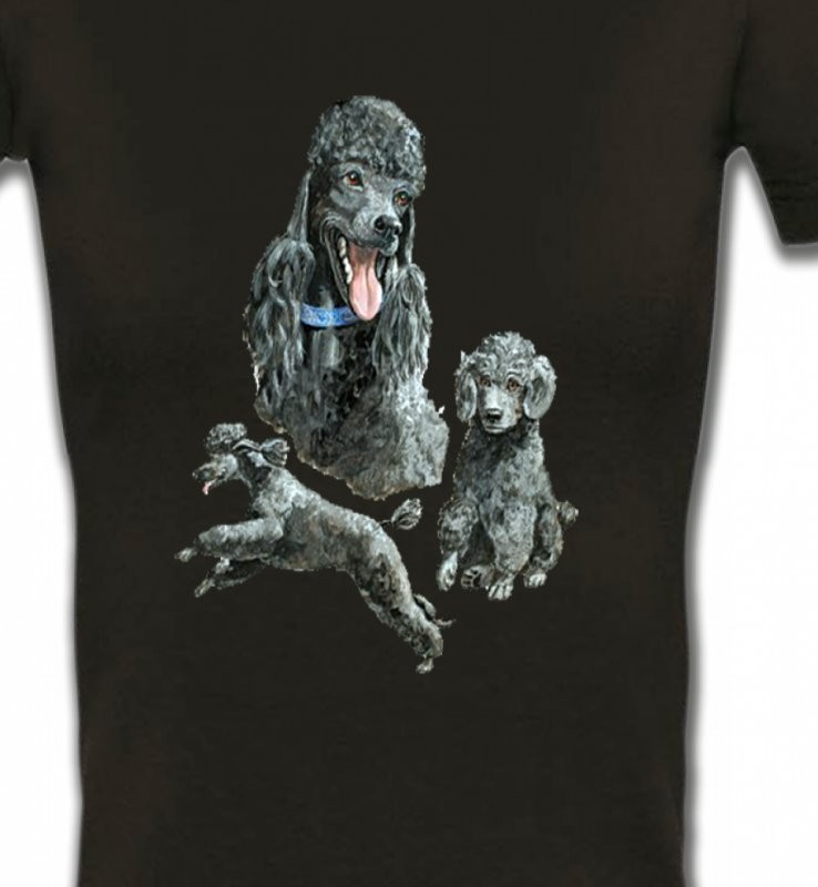 Caniche gris (L)