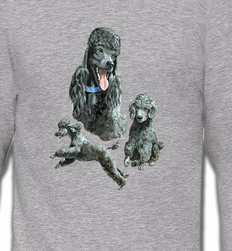 Caniche gris (L)