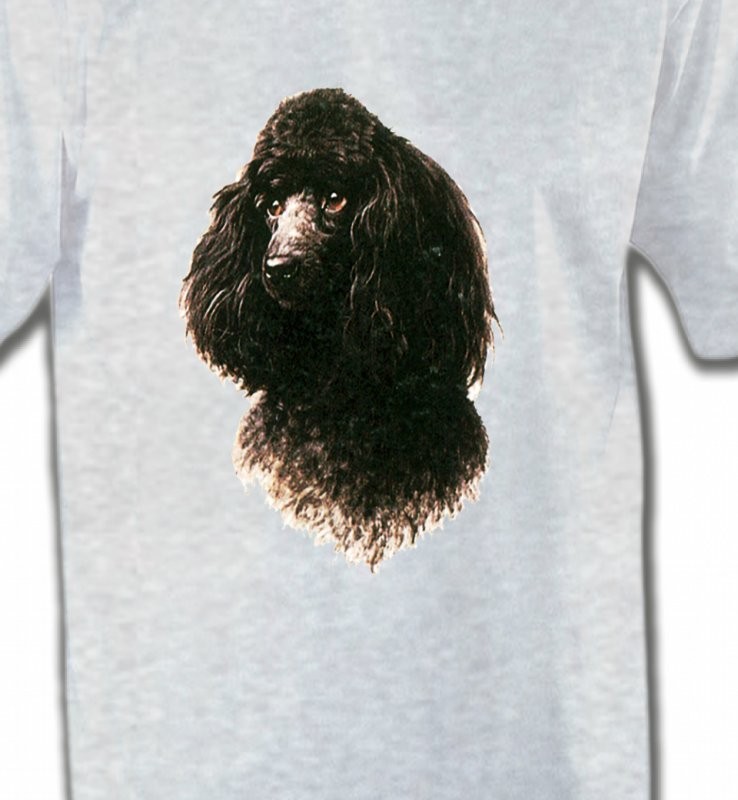Caniche (M)