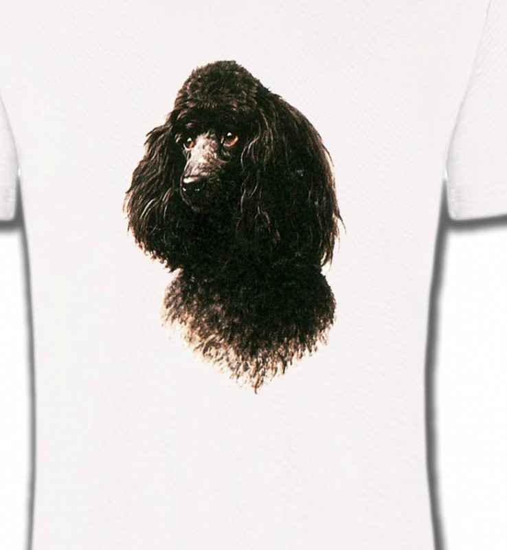 Caniche (M)