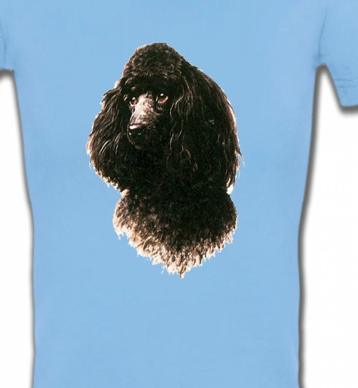 Caniche (M)