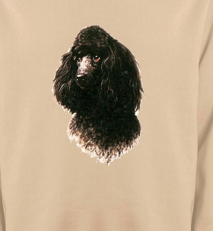 Caniche (M)