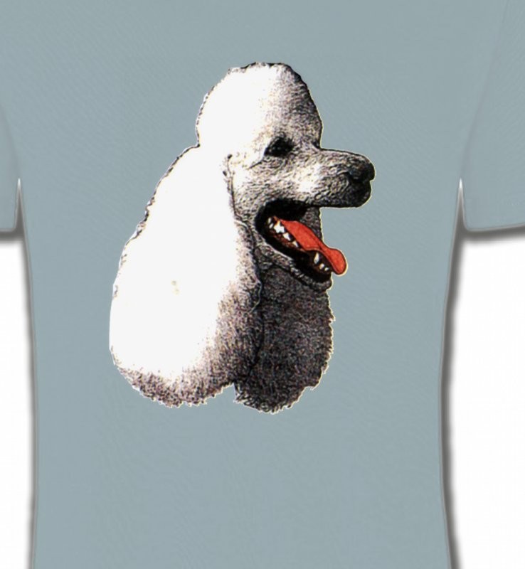 Tête de caniche (F)