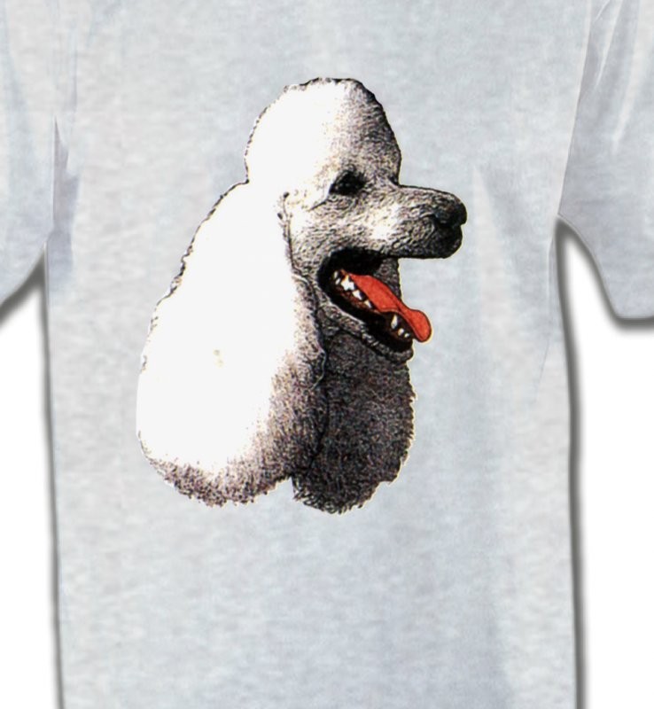 Tête de caniche (F)