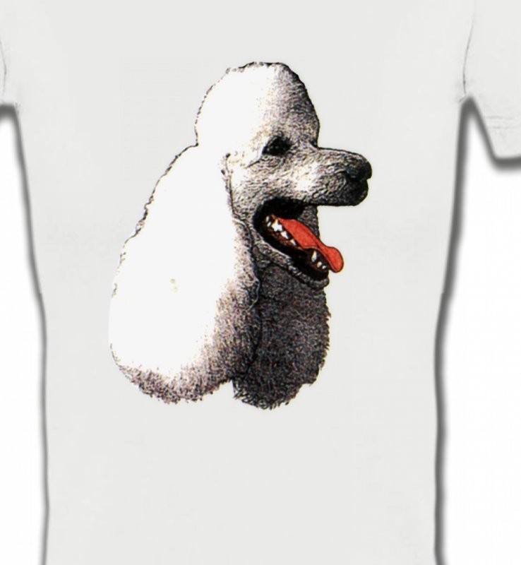 Tête de caniche (F)