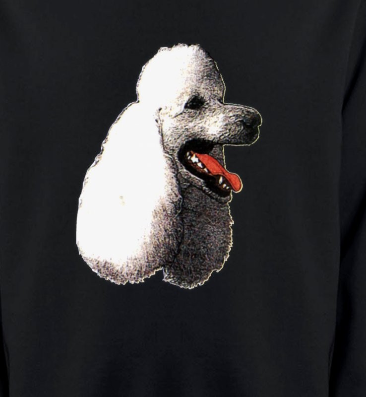 Tête de caniche (F)