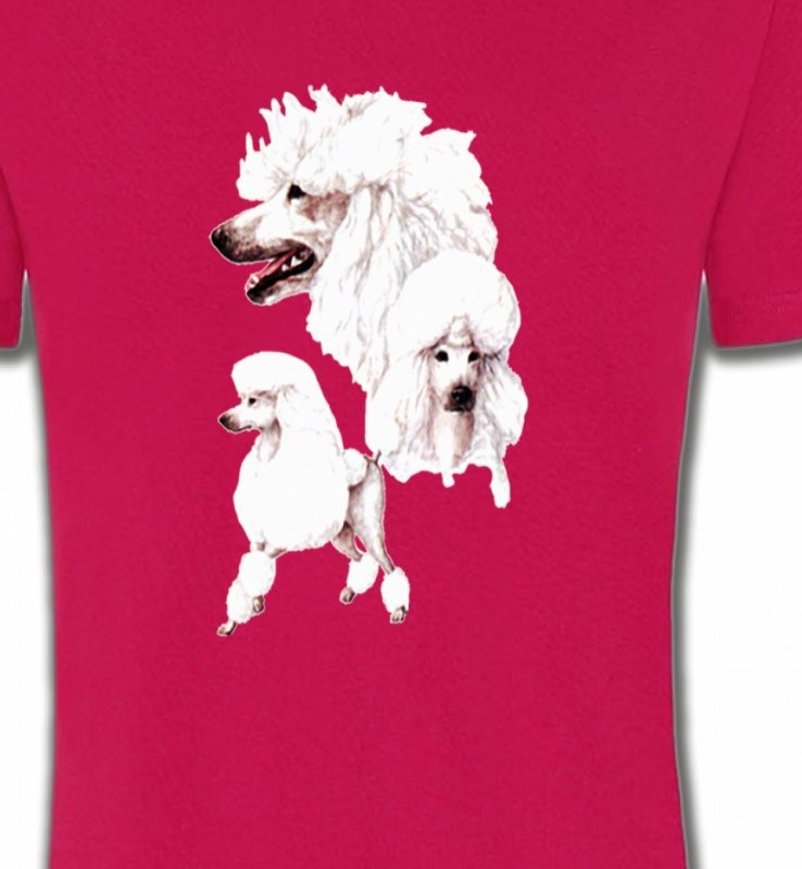 Caniche blanc (N)