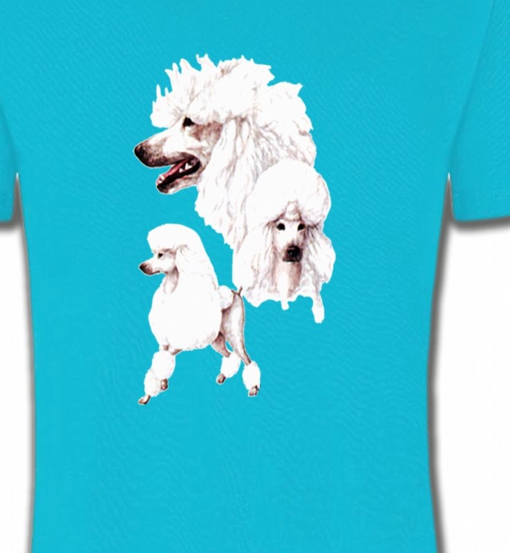 Caniche blanc (N)