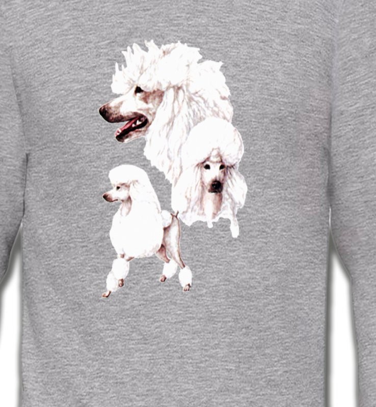 Caniche blanc (N)