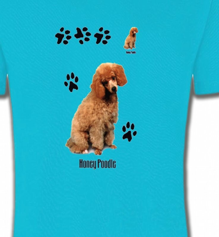 Caniche miel  (P)