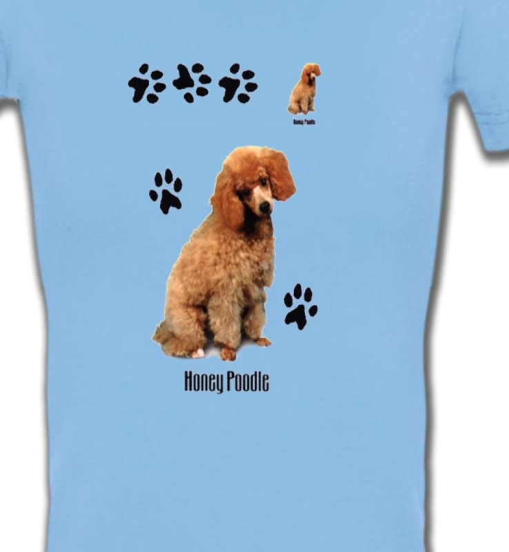 Caniche miel  (P)