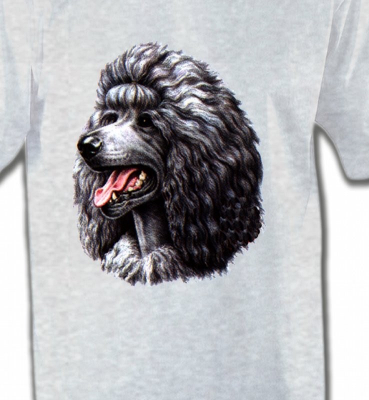 Caniche noir (Q)