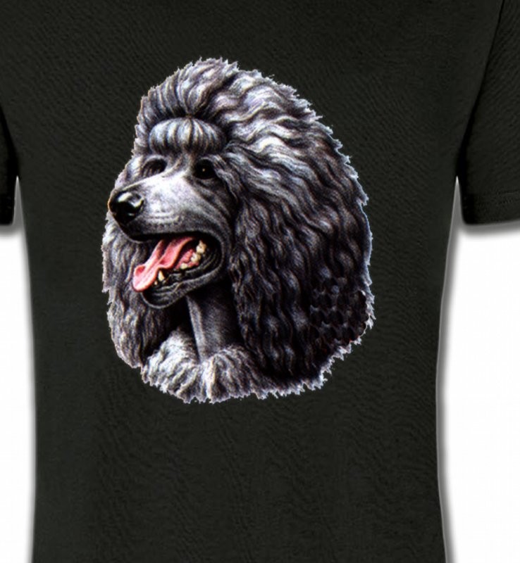 Caniche noir (Q)