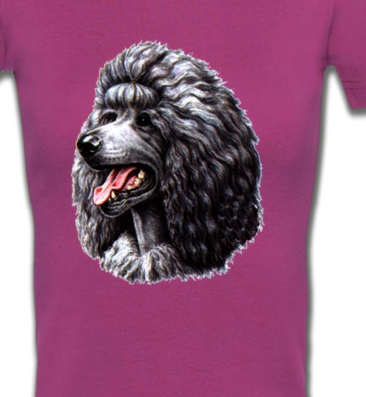 Caniche noir (Q)