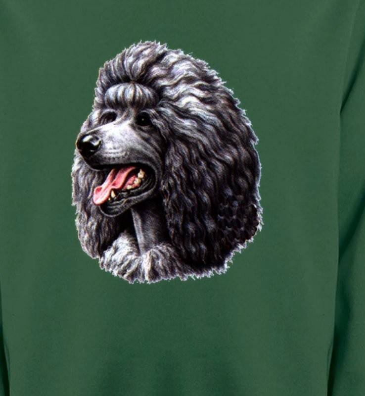 Caniche noir (Q)