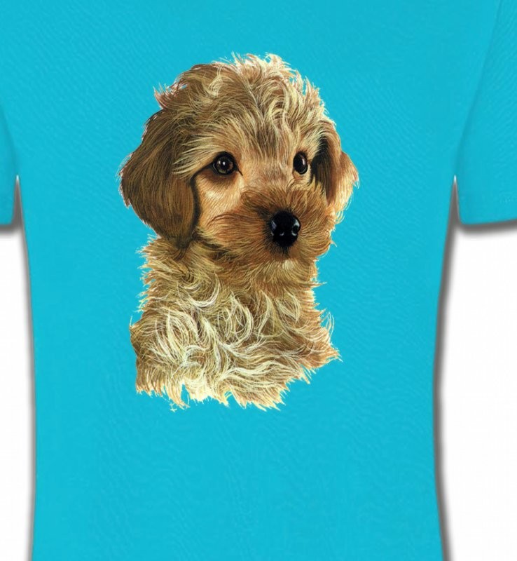 Bébé caniche