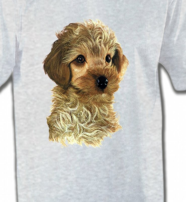 Bébé caniche