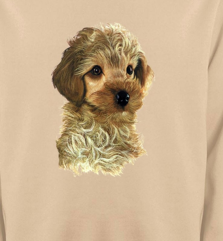 Bébé caniche