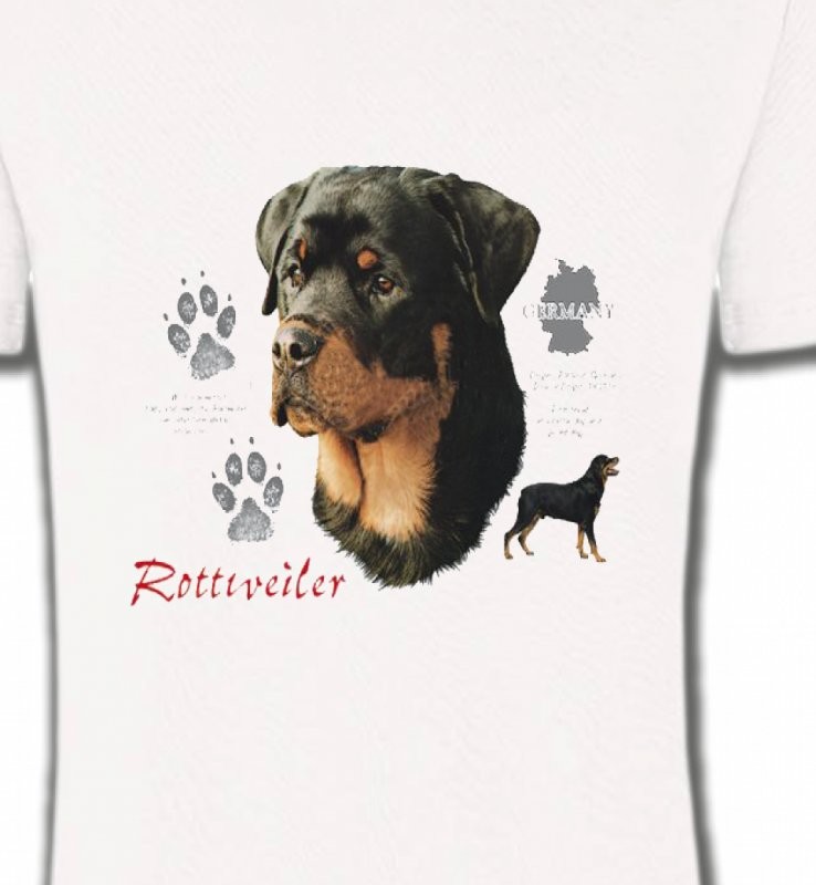 Rottweiler (F)