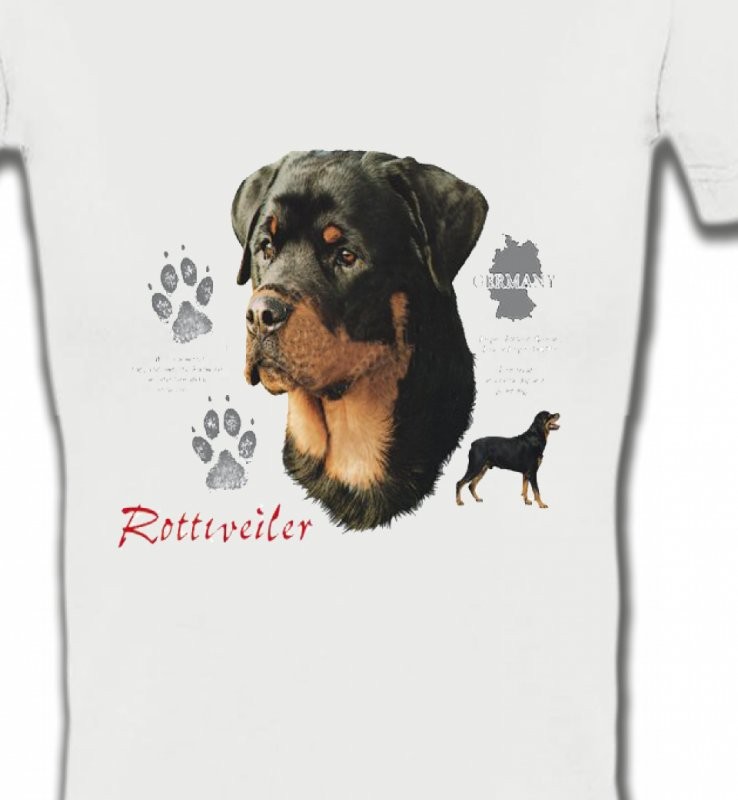 Rottweiler (F)