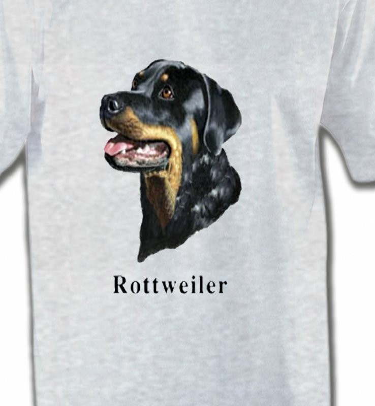 Tête de Rottweiler (G)