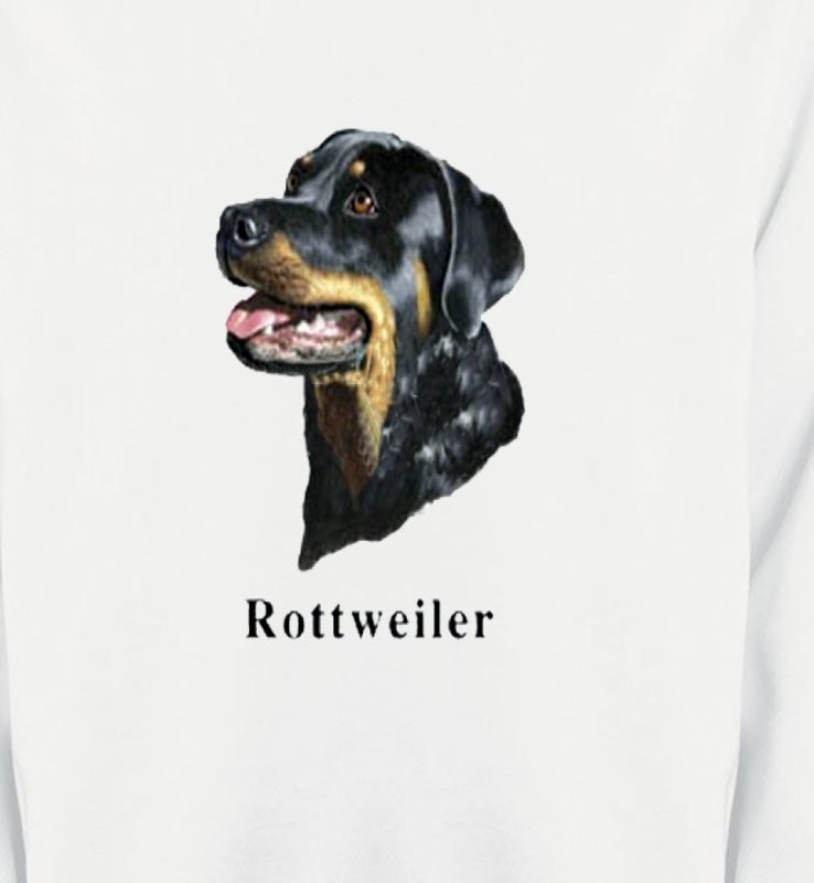Tête de Rottweiler (G)