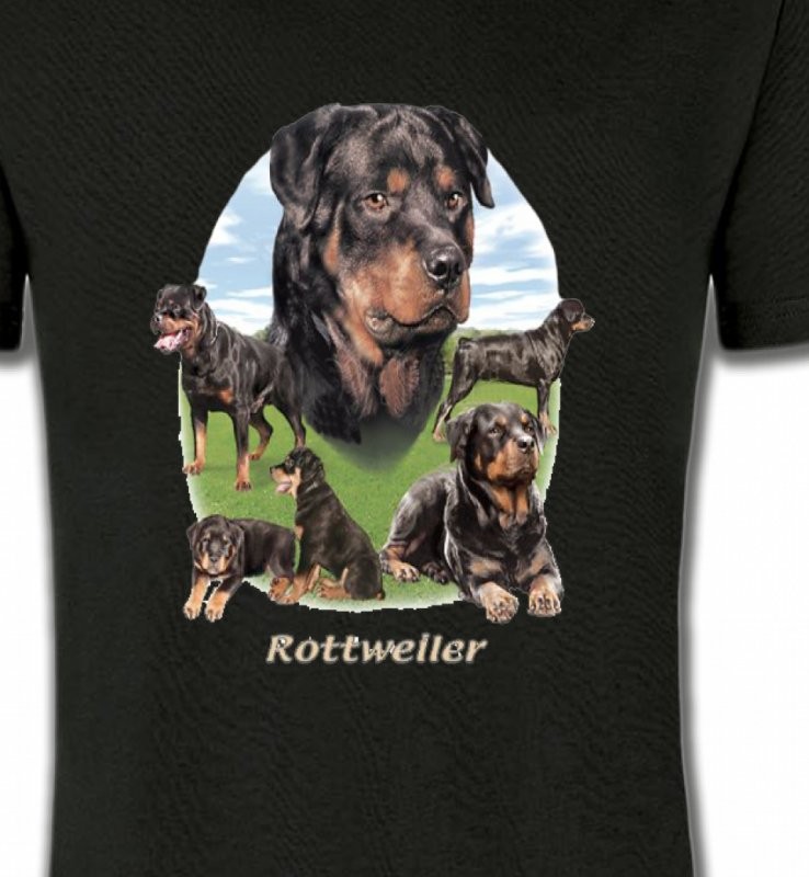 Rottweiler Paysage (C)