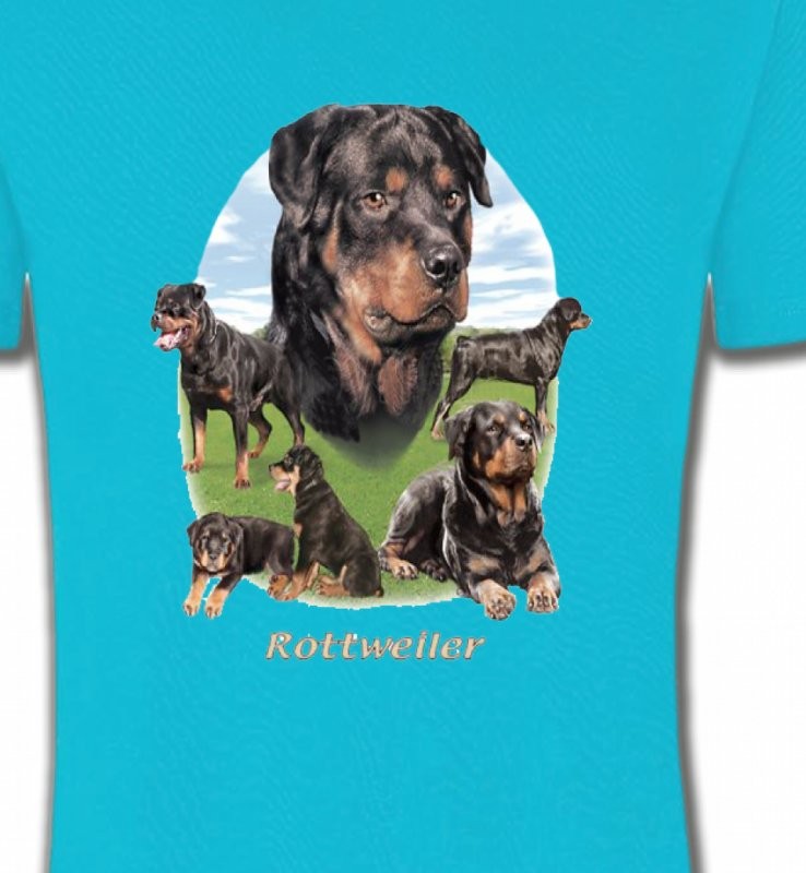 Rottweiler Paysage (C)