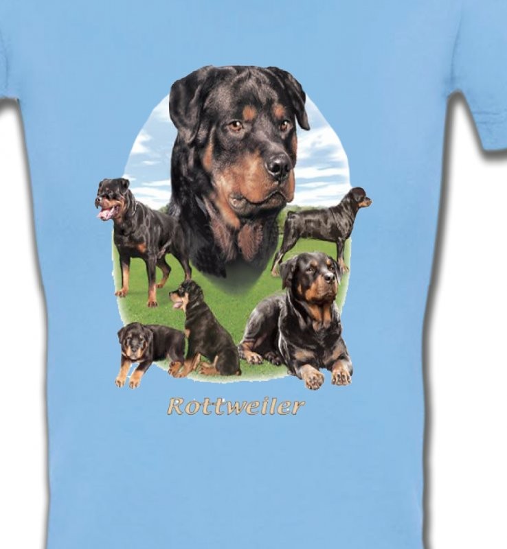 Rottweiler Paysage (C)