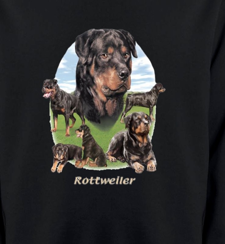 Rottweiler Paysage (C)