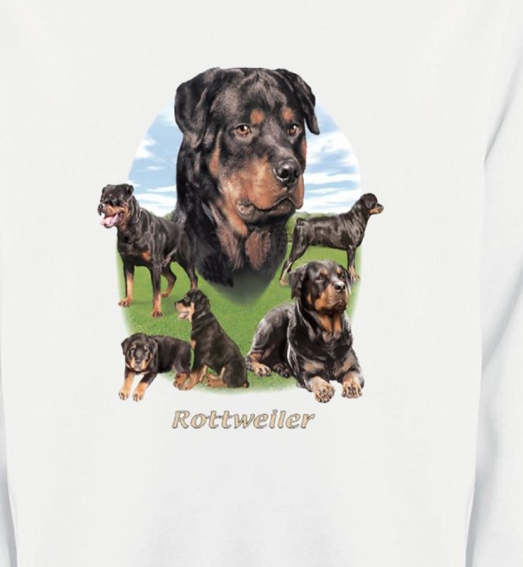 Rottweiler Paysage (C)