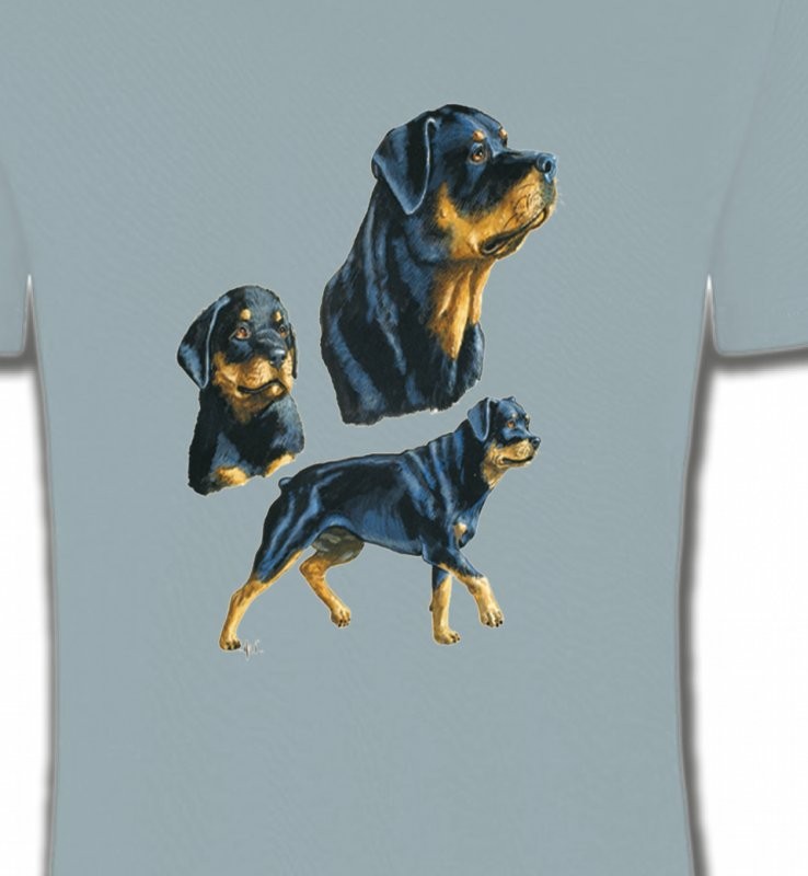 Rottweiler (D)