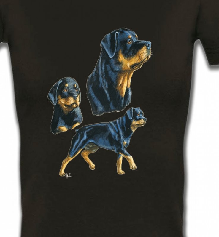 Rottweiler (D)