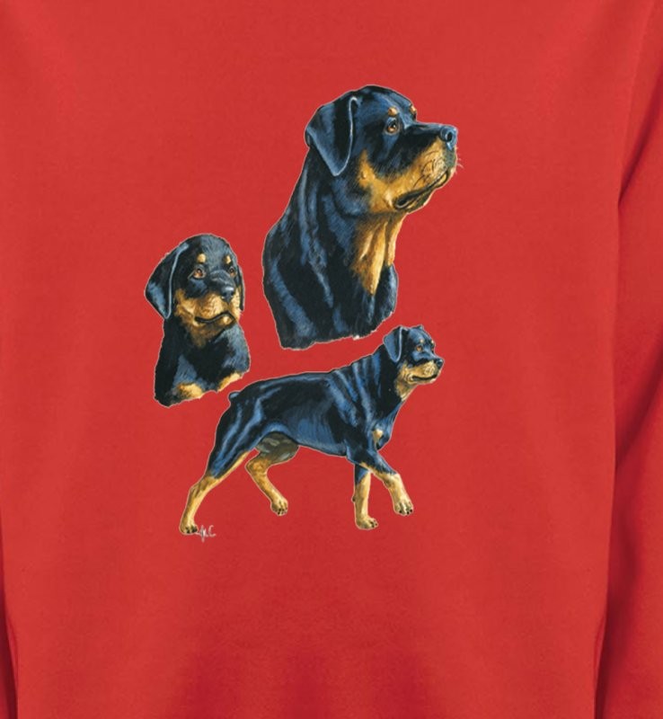 Rottweiler (D)