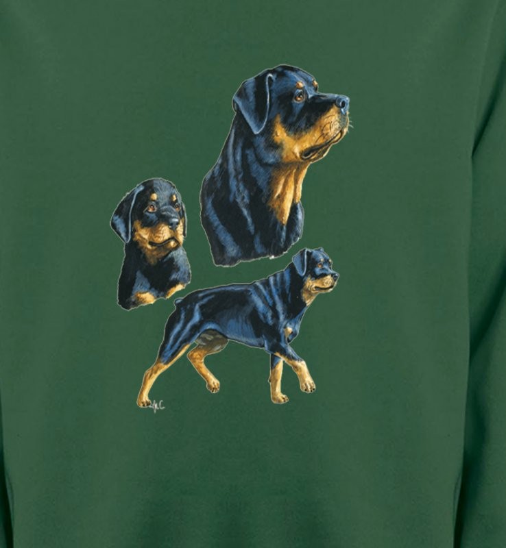 Rottweiler (D)