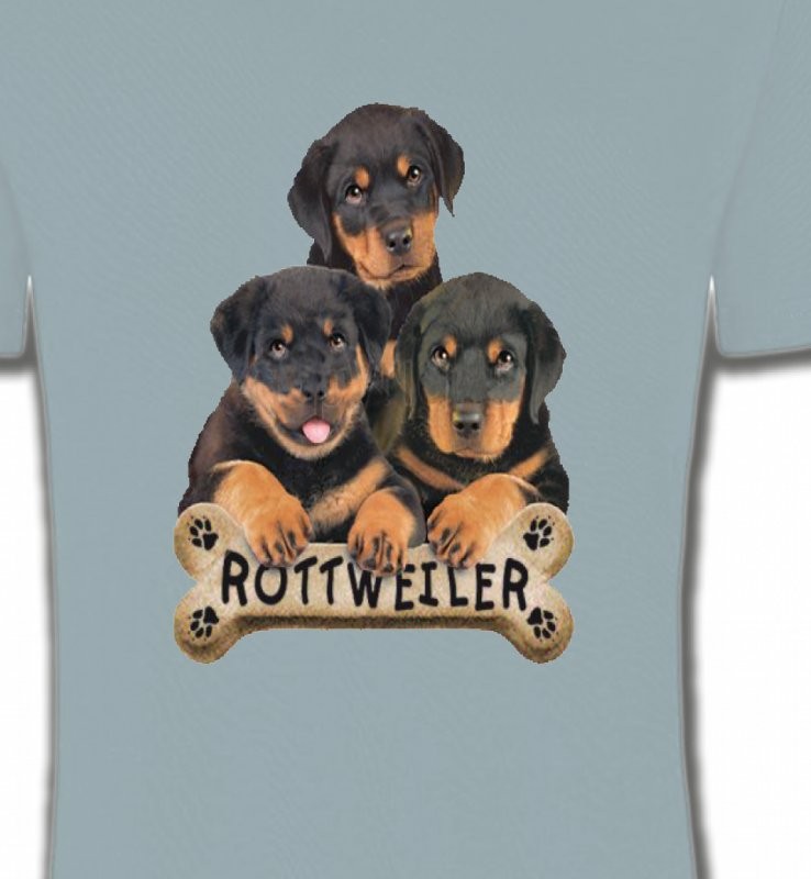 Bébés Rottweilers (R)