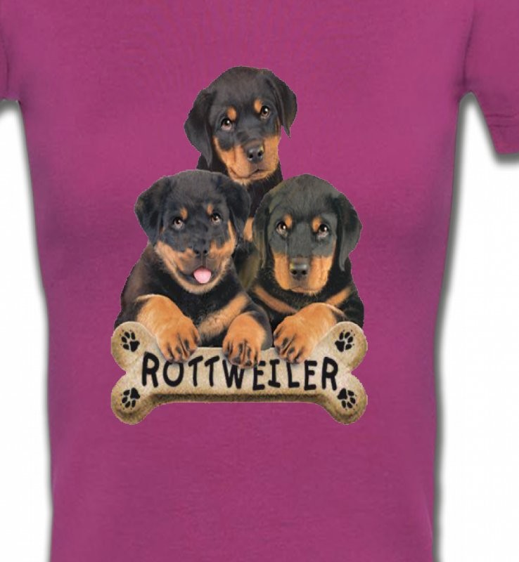 Bébés Rottweilers (R)